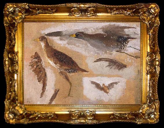framed  Thomas Eakins Studies of Game Birds, probably Viginia Rails, ta009-2